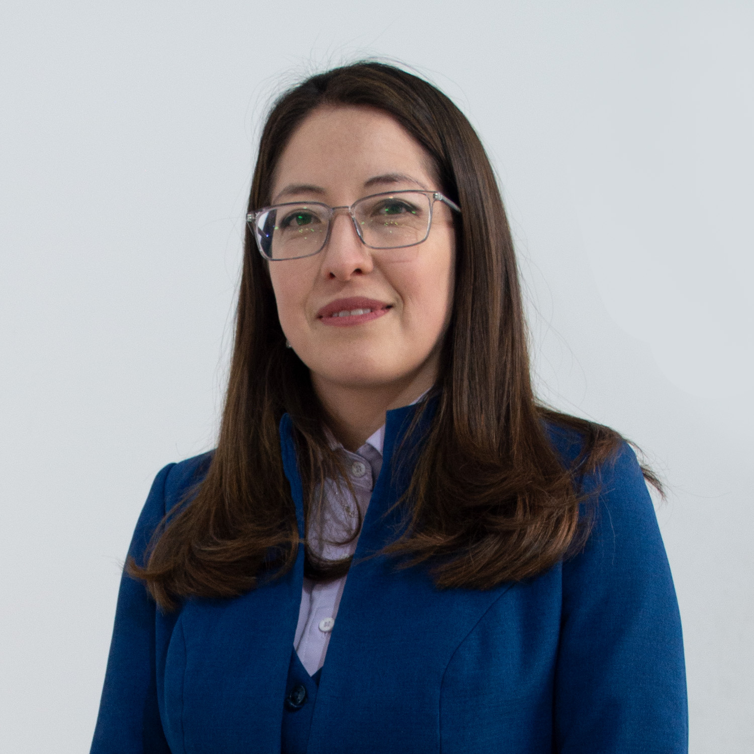 Integrante de Gestión de Riesgos